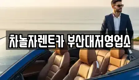 부산광역시 강서구 대저1동 렌트카 전문 차놀자렌트카 부산대저영업소