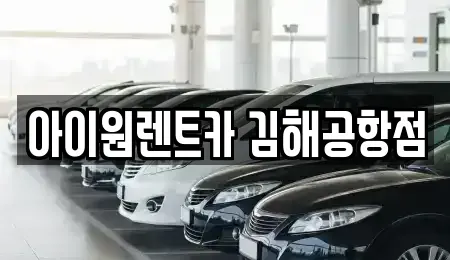 부산광역시 강서구 대저1동 장기렌트카 전문 아이원렌트카 김해공항점