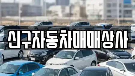 부산광역시 강서구 대저1동 중고차매매 전문 신구자동차매매상사