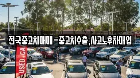 부산광역시 강서구 대저1동 중고차매매 전문 전국중고차매매-중고차수출,사고노후차매입