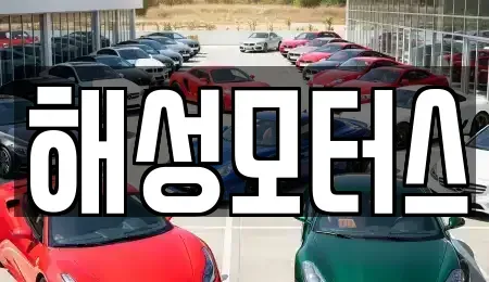 부산광역시 강서구 대저1동 중고차매매 전문 해성모터스