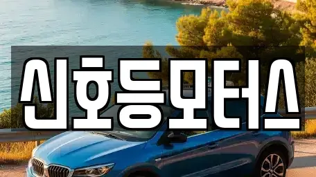 부산광역시 동래구 사직동 중고차 전문 신호등모터스