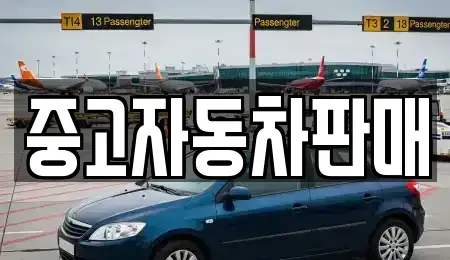 부산광역시 동래구 사직동 중고차 전문 중고자동차판매