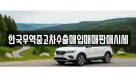 부산광역시 동래구 사직동 중고차매입 전문 한국무역중고차수출매입매매판매시세