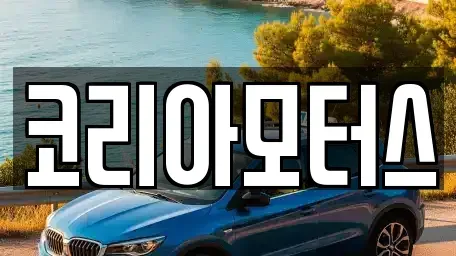 부산광역시 서구 남부민동 중고차 전문 코리아모터스