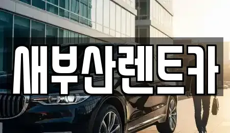 부산광역시 서구 부민동2가 렌트카 전문 새부산렌트카