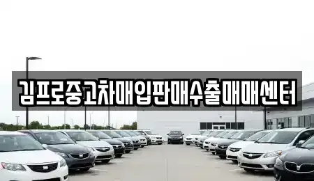부산광역시 서구 부민동2가 중고차매매 전문 김프로중고차매입판매수출매매센터