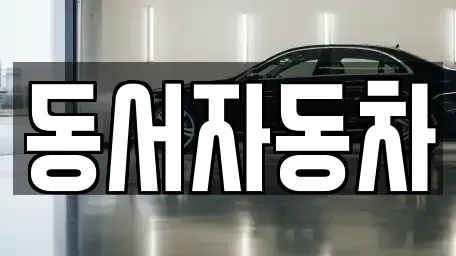 부산광역시 중구 창선동2가 중고차 전문 동서자동차