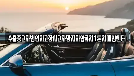 서울 서대문구 창천동 중고차 전문 수출중고차법인차고장사고차망자차압류차1톤차매입센터