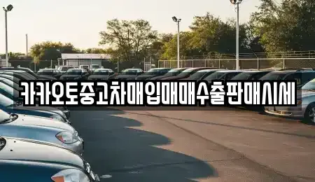 서울 서대문구 창천동 중고차매입 전문 카카오토중고차매입매매수출판매시세