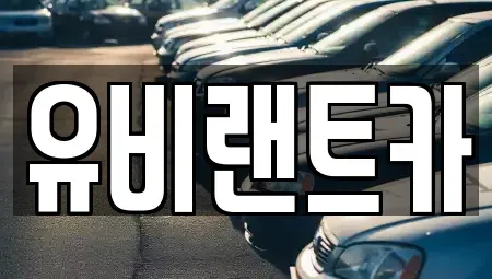 서울 송파구 오금동 단기렌트카,중고차매입,중고차매매,중고차,렌트카,장기렌트카