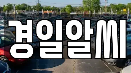 서울 송파구 오금동 렌트카 전문 경일알씨