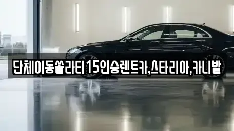 서울 송파구 오금동 렌트카 전문 단체이동쏠라티15인승렌트카,스타리아,카니발