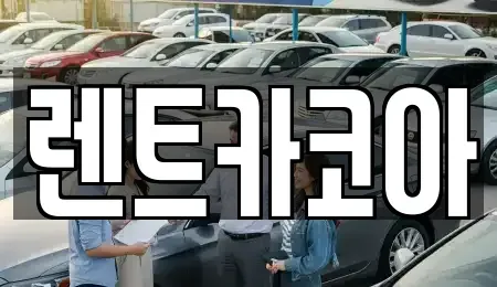 서울 송파구 오금동 렌트카 전문 렌트카코아