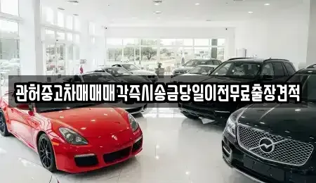 서울 송파구 오금동 중고차매매 전문 관허중고차매매매각즉시송금당일이전무료출장견적