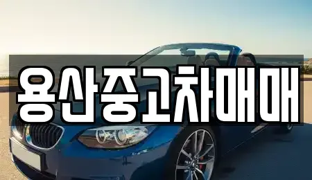 서울 용산구 청파동2가 중고차매매 전문 용산중고차매매