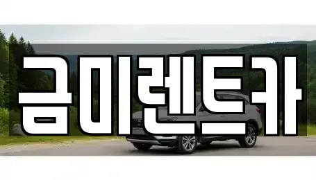 서울 종로구 내수동 렌트카 전문 금미렌트카