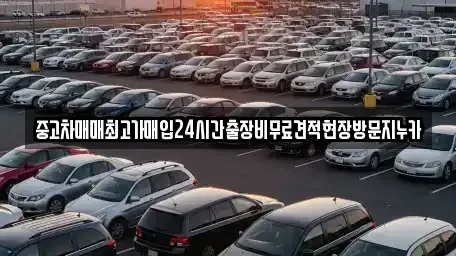 서울 종로구 내수동 중고차 전문 중고차매매최고가매입24시간출장비무료견적현장방문지누카