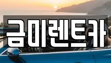 서울특별시 강서구 개화동 렌트카 전문 금미렌트카