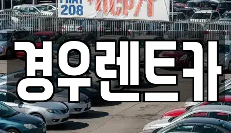 서울특별시 강서구 개화동 장기렌트카 전문 경우렌트카