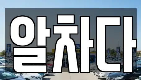 서울특별시 강서구 개화동 장기렌트카 전문 알차다