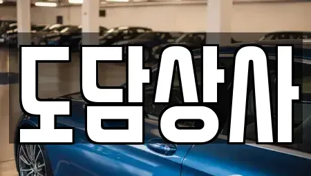 서울특별시 강서구 개화동 중고차매매 전문 도담상사