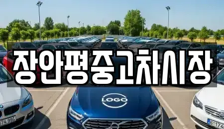 서울특별시 강서구 개화동 중고차매매 전문 장안평중고차시장