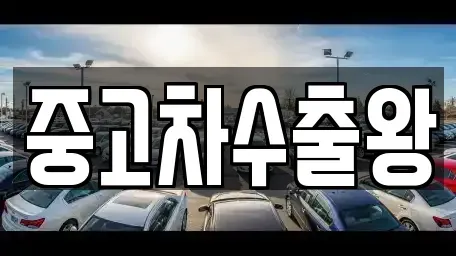 서울특별시 강서구 개화동 중고차매매 전문 중고차수출왕