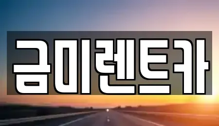 서울특별시 강서구 염창동 렌트카 전문 금미렌트카