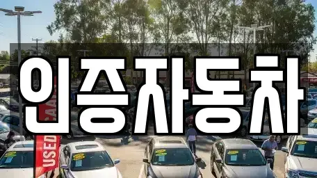 서울특별시 동대문구 용두동 중고차 전문 인증자동차