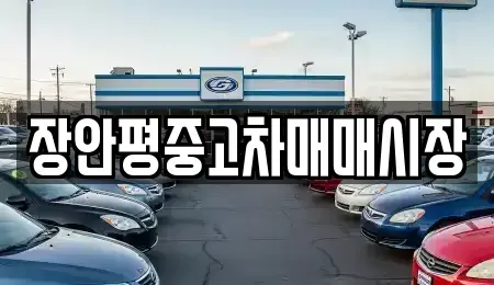 서울특별시 동대문구 용두동 중고차,렌트카,중고차매입,중고차매매,장기렌트카,단기렌트카