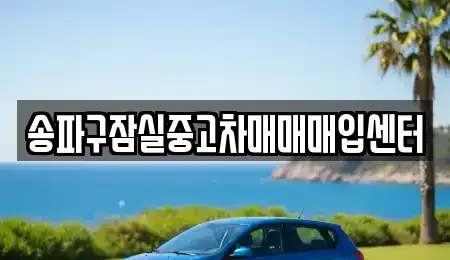 서울특별시 송파구 가락동 중고차매매 전문 송파구잠실중고차매매매입센터