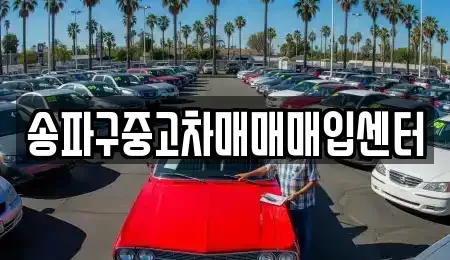 서울특별시 송파구 가락동 중고차매매 전문 송파구중고차매매매입센터