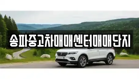 서울특별시 송파구 가락동 중고차매매,단기렌트카,중고차매입,장기렌트카,중고차,렌트카