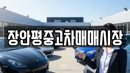 서울특별시 송파구 가락동 중고차매매 전문 장안평중고차매매시장