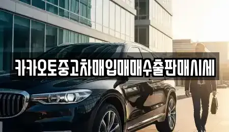 서울특별시 송파구 가락동 중고차매입 전문 카카오토중고차매입매매수출판매시세