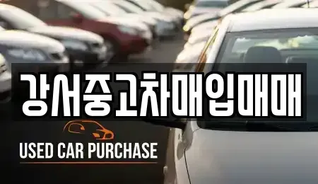 서울특별시 중고차 전문 강서중고차매입매매