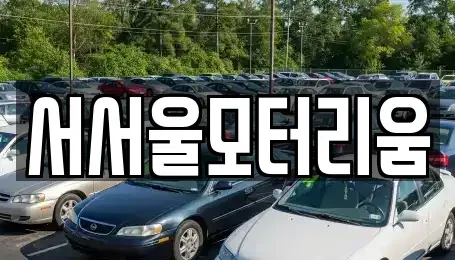 서울특별시 중고차 전문 서서울모터리움