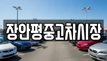 서울특별시 중고차 전문 장안평중고차시장