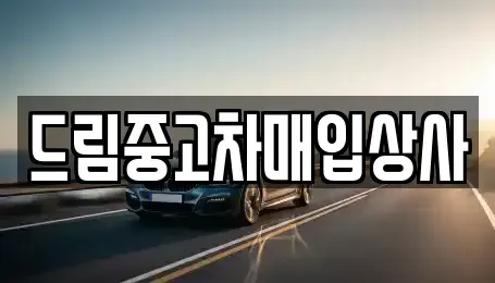 서울특별시 중고차매입 전문 드림중고차매입상사