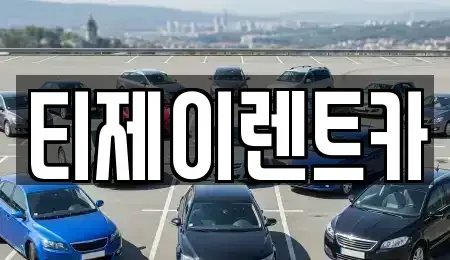 서울특별시 중구 남대문로4가 렌트카 전문 티제이렌트카