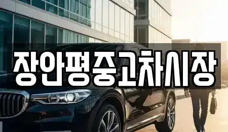 서울특별시 중구 남대문로4가 중고차 전문 장안평중고차시장