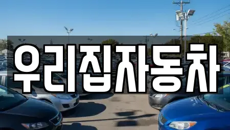 서울특별시 중구 남대문로4가 중고차매매 전문 우리집자동차