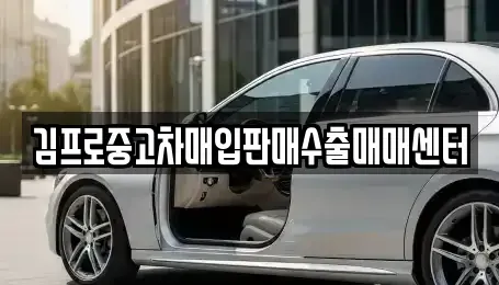 서울특별시 중구 남대문로4가 중고차매입 전문 김프로중고차매입판매수출매매센터