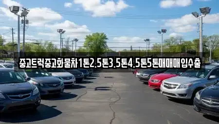 서울특별시 중구 남대문로4가 중고차매입 전문 중고트럭중고화물차1톤2.5톤3.5톤4.5톤5톤매매매입수출