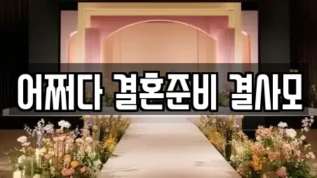 어쩌다 결혼준비 결사모