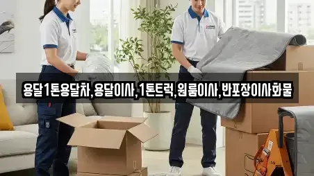 용달1톤용달차,용달이사,1톤트럭,원룸이사,반포장이사화물