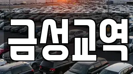 울산 울주군 청량읍 렌트카 전문 금성교역