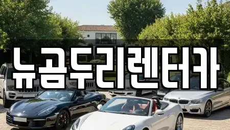 울산 울주군 청량읍 렌트카 전문 뉴곰두리렌터카