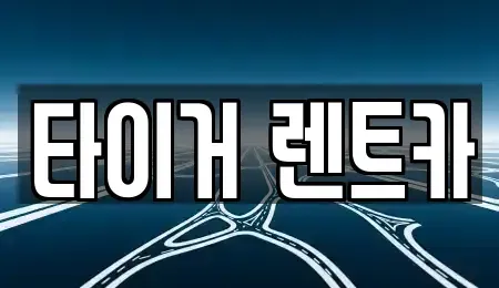 울산 울주군 청량읍 렌트카 전문 타이거 렌트카